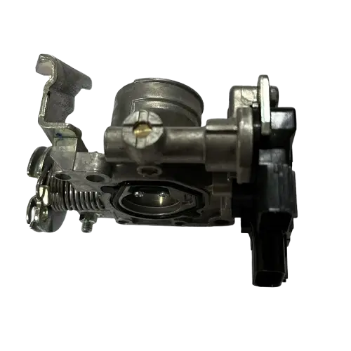 GAZ GÖVDESİ NTORQ OR