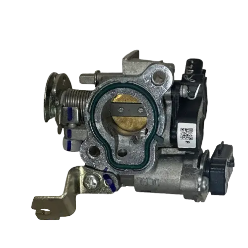 GAZ GÖVDESİ RAIDER E5 OR