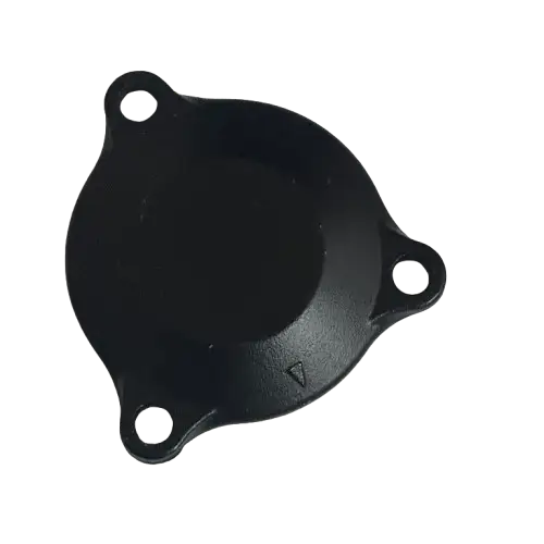 YAĞ FİLTRE KAPAĞI RTR200 E5 OR